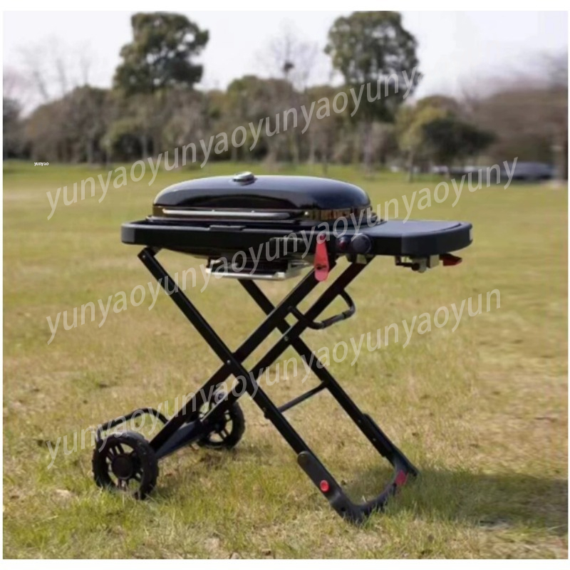 Griglia Portatile Pieghevole p - Camping Cooking Easy recensione e prezzo