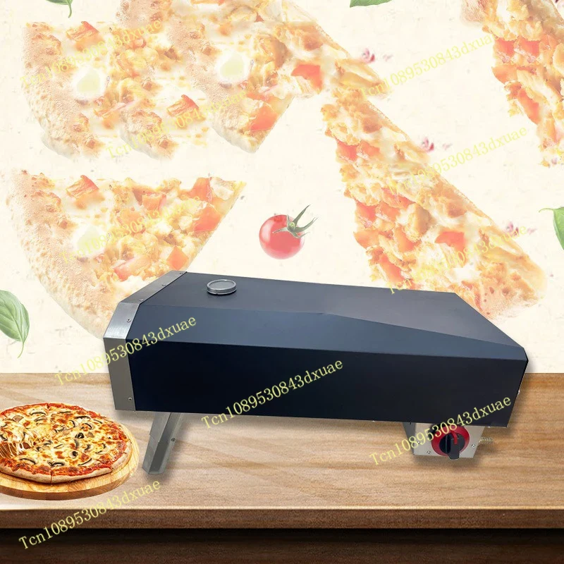 Forno per pizza a gas da campe - Camping Cooking Gas Stove recensione e prezzo